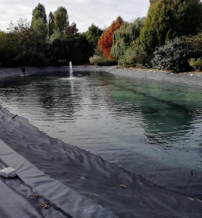 vijveraanleggers Kampenhout | DVT tuinonderhoud